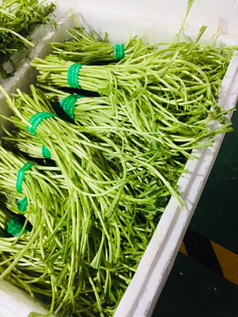 藜蒿芦蒿泥蒿泥耗菜去叶去老根新鲜蔬菜大量供应批发一件代发