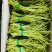 藜蒿芦蒿泥蒿泥耗菜去叶去老根新鲜蔬菜大量供应批发一件代发