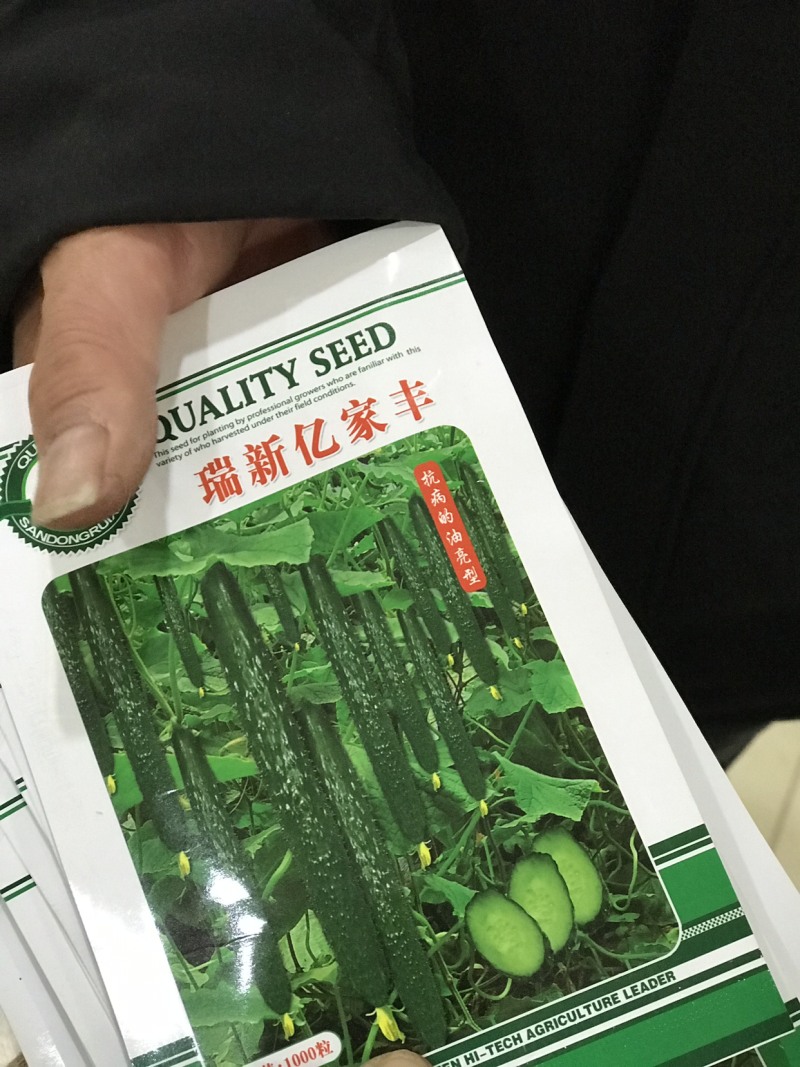 黄瓜种