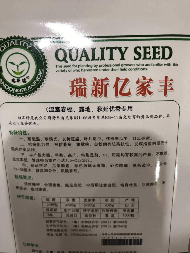 黄瓜种