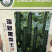 黄瓜种