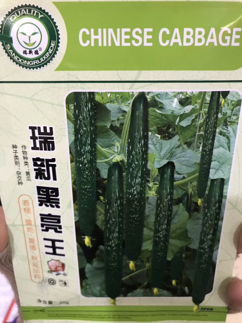 黄瓜种