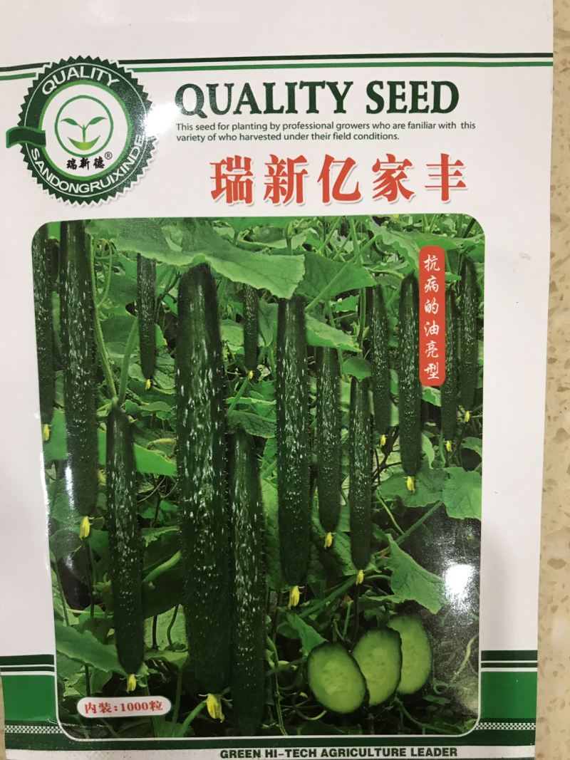 黄瓜种