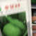 黄瓜种