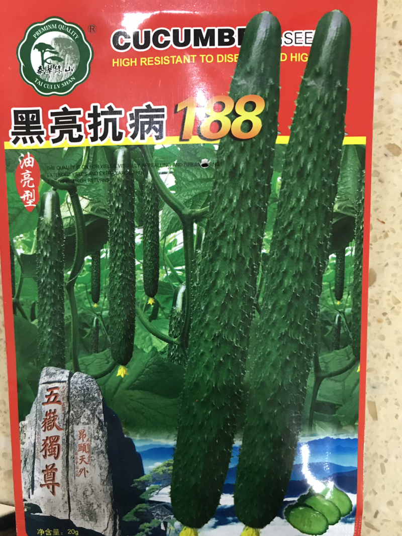 黄瓜种