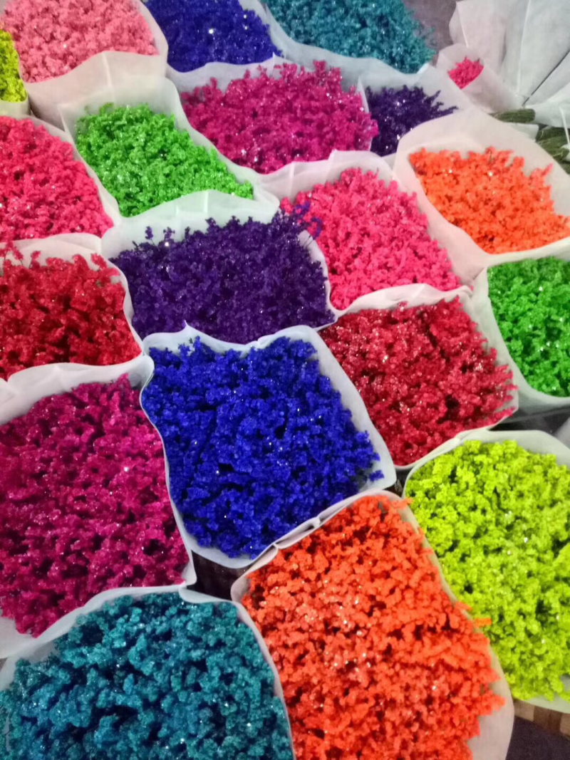 勿忘我，水晶草干花