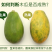广西红心木瓜9斤装冰糖心牛奶木瓜非海南青木瓜