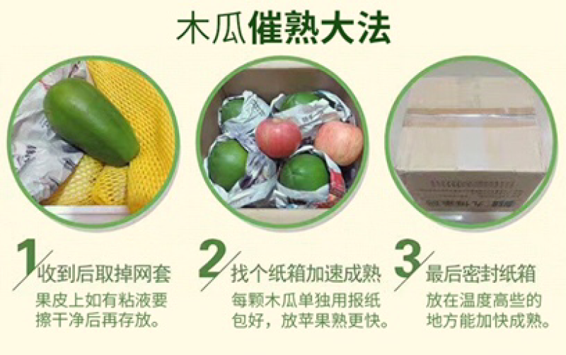 广西红心木瓜9斤装冰糖心牛奶木瓜非海南青木瓜