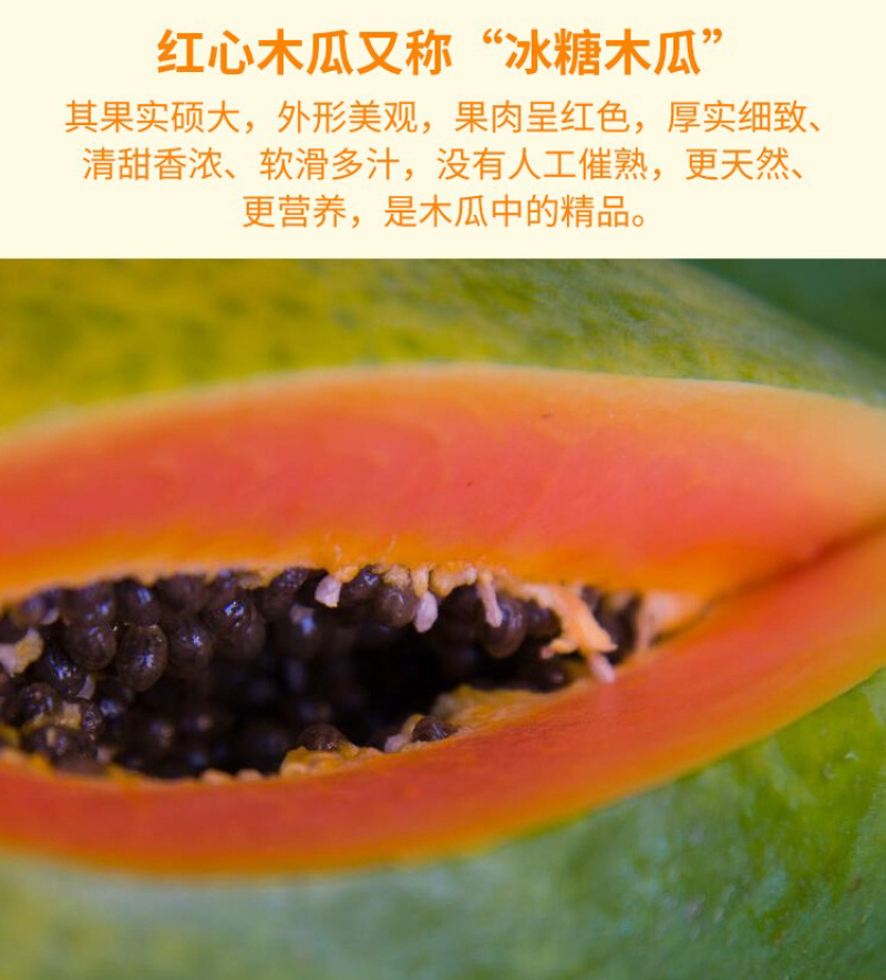 广西红心木瓜9斤装冰糖心牛奶木瓜非海南青木瓜