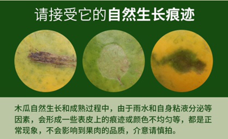 广西红心木瓜9斤装冰糖心牛奶木瓜非海南青木瓜