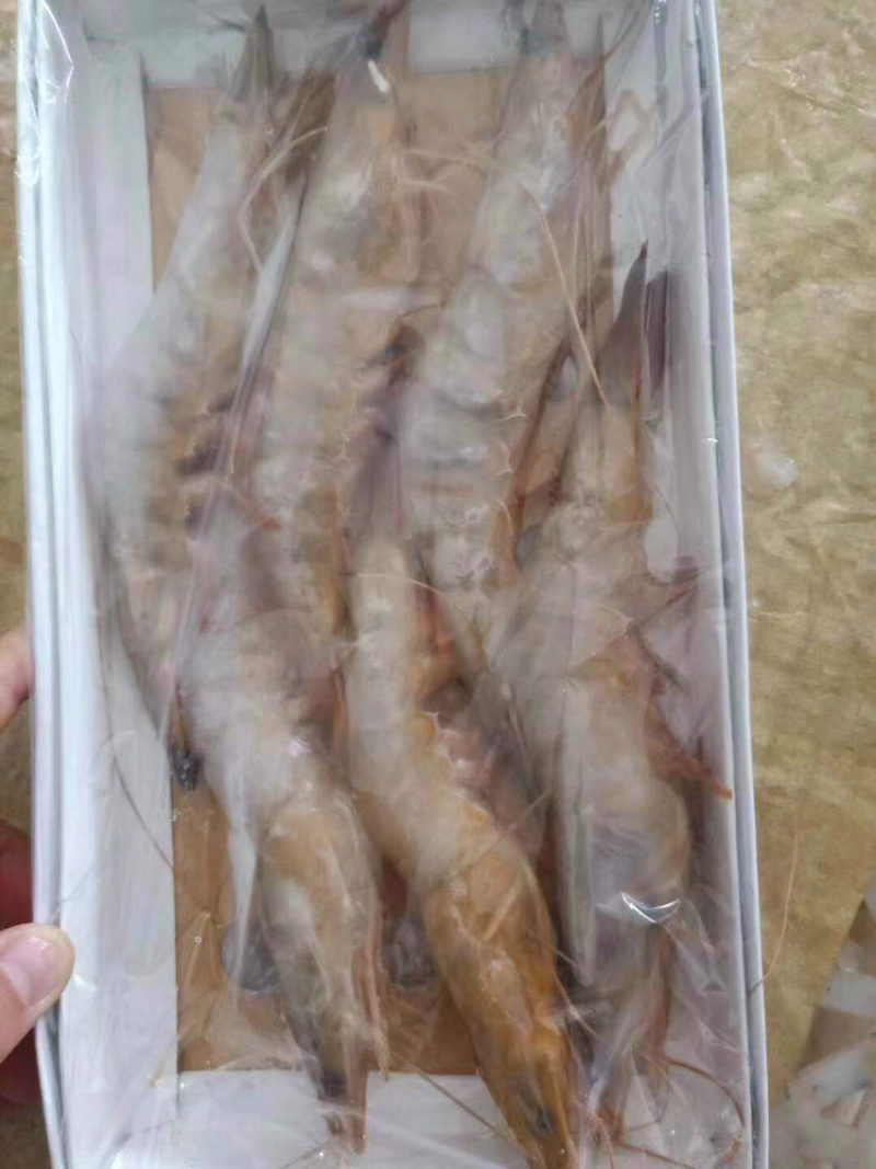对虾，龙虾，虾爬子肉，等