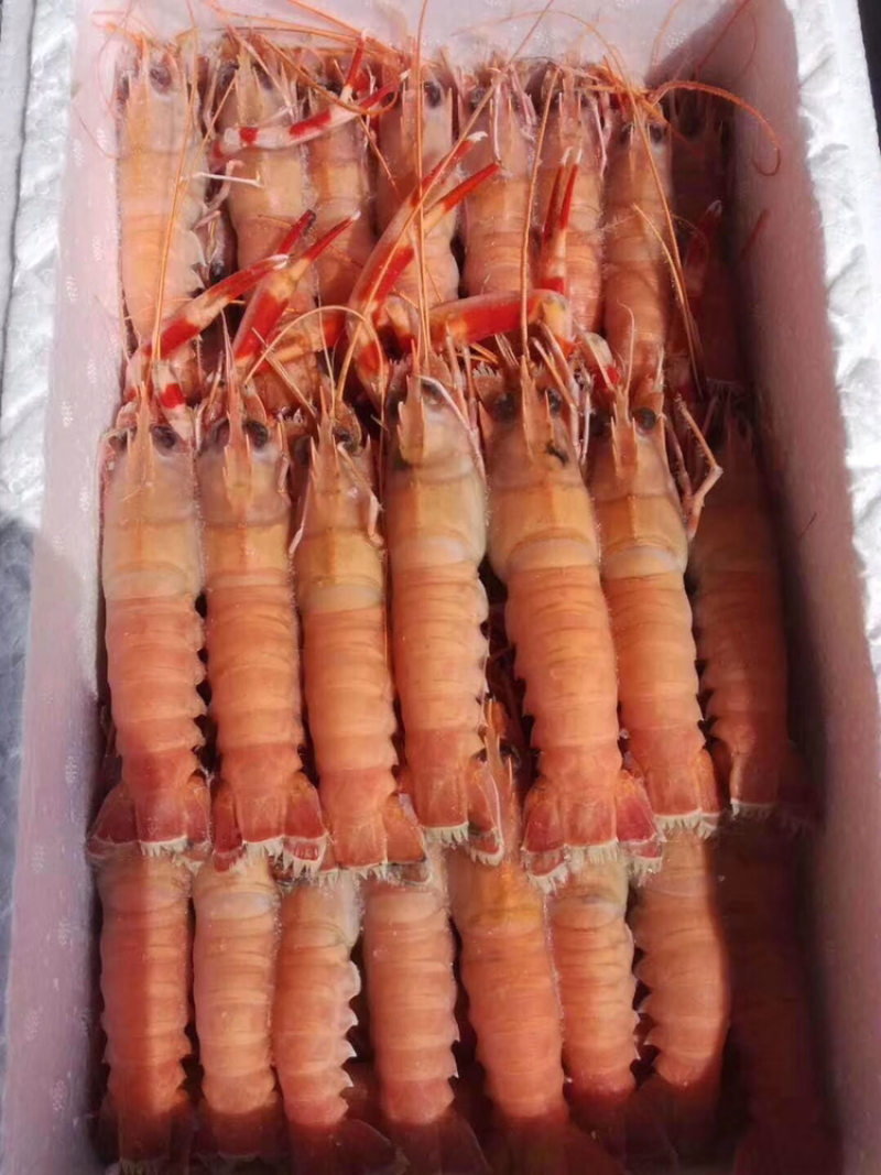 对虾，龙虾，虾爬子肉，等