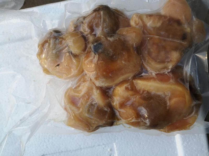 对虾，龙虾，虾爬子肉，等