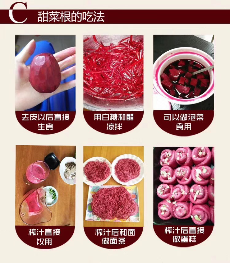 甜菜根种子红甜菜紫红菜头芽苗菜