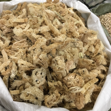 丝瓜络