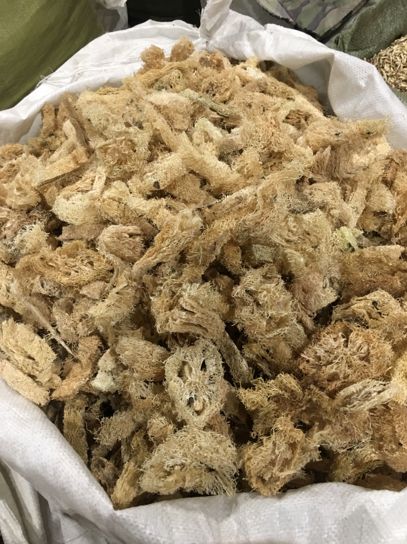 丝瓜络