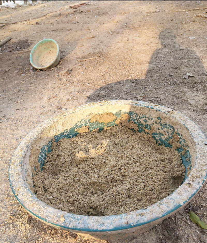零批土鹅蛋食用箱装150个起批