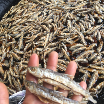 油炸兰刀鱼
