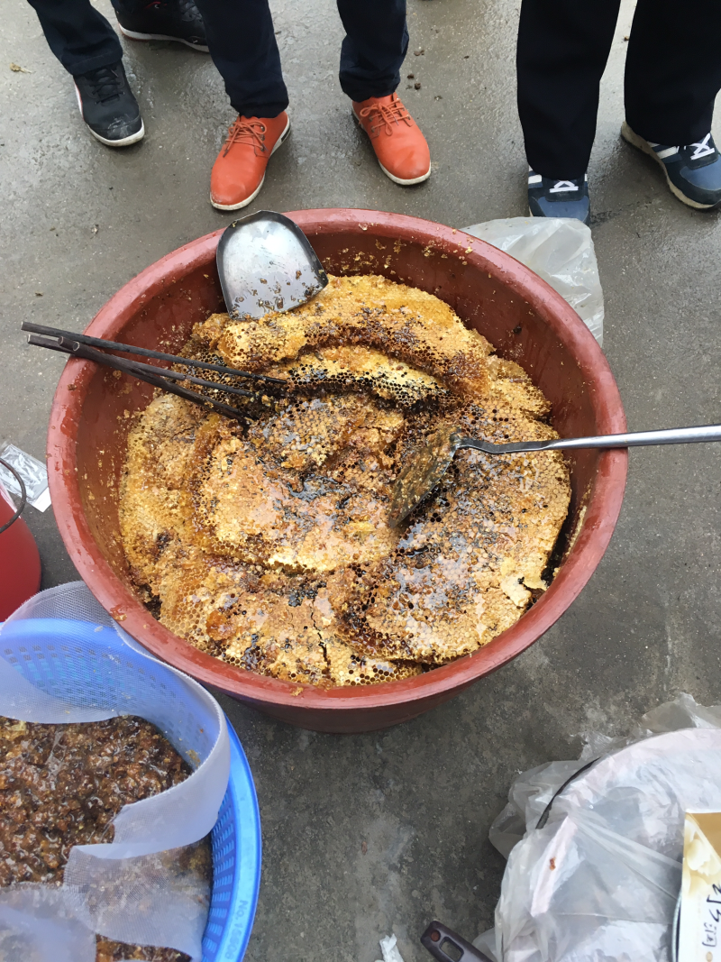 野生土蜂蜜