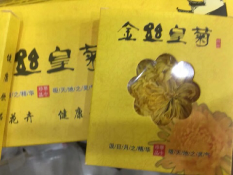 金丝皇菊苗