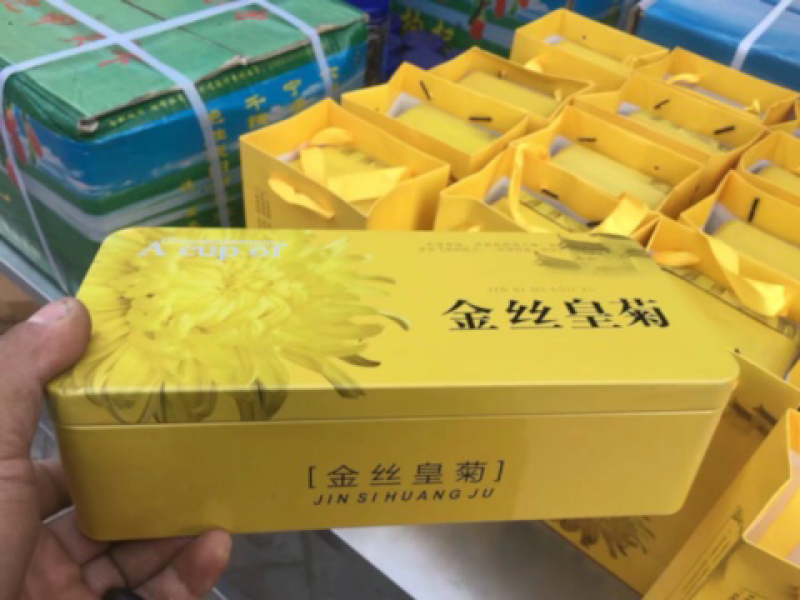金丝皇菊苗
