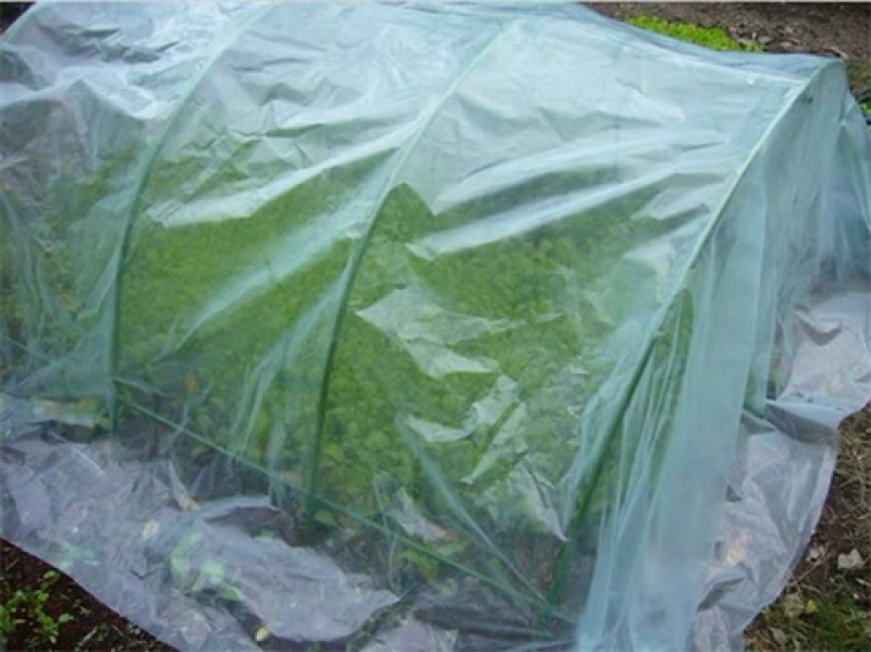 大棚膜蓝色无滴膜温室白色棚膜高透光棚膜防雨保温膜农用塑料