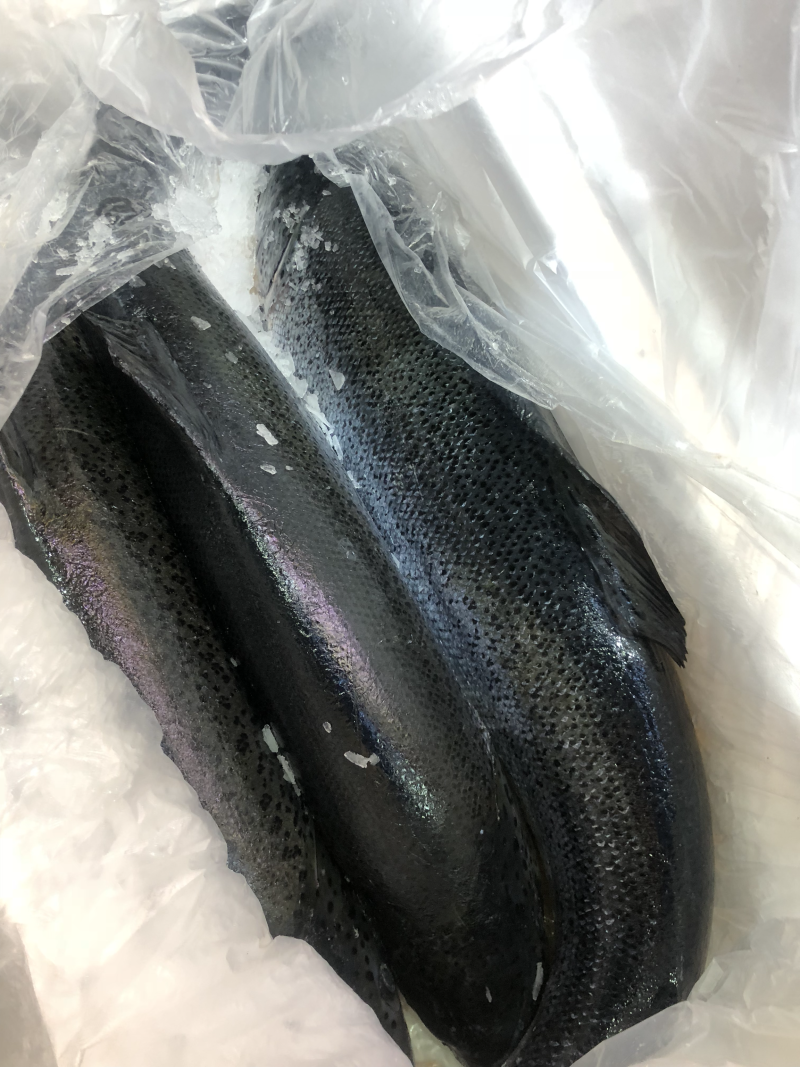 挪威，法罗，智利进口三文鱼