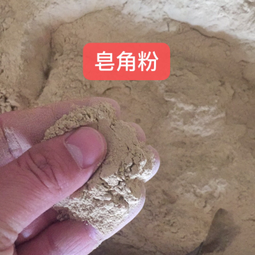 皂角粉