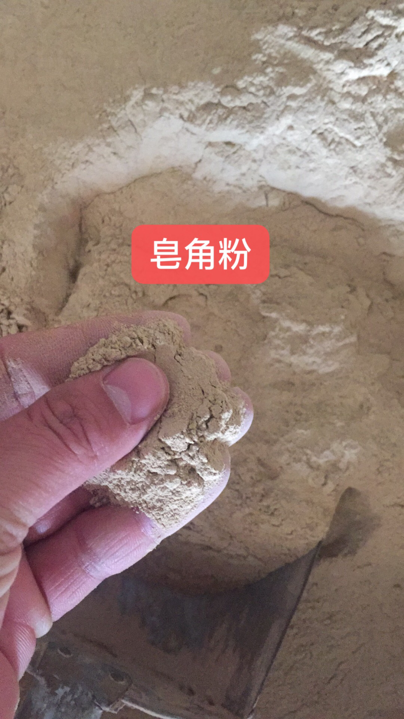 皂角粉
