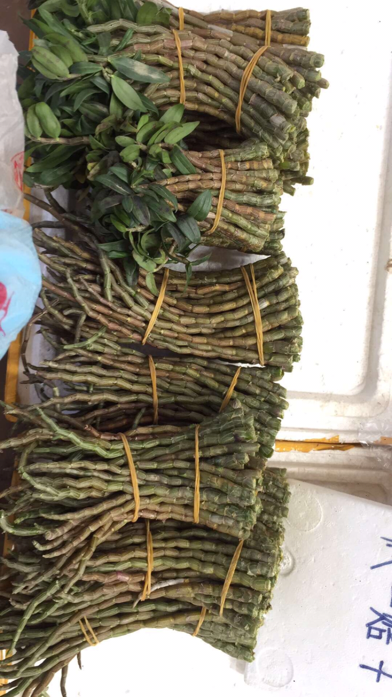鲜铁皮石斛