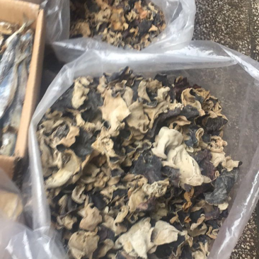 木耳红辣椒腐竹