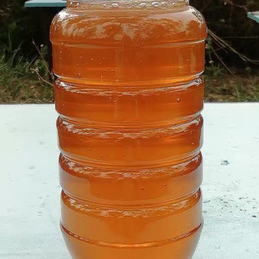 蜂蜂蜂蜜纯正天然农家自产野生土深山蜂巢