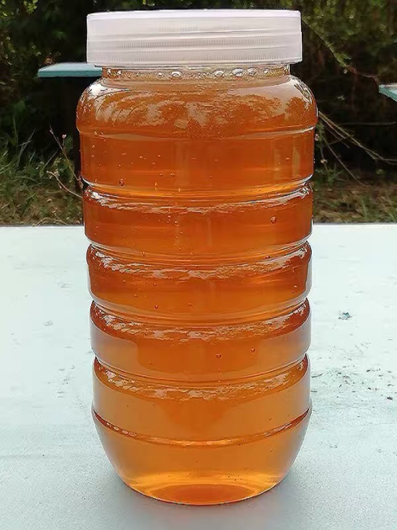 蜂蜂蜂蜜纯正天然农家自产野生土深山蜂巢