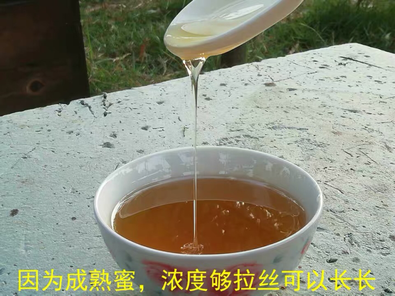蜂蜂蜂蜜纯正天然农家自产野生土深山蜂巢