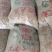 大量供应豆干，豆皮，量大从优，极速发货