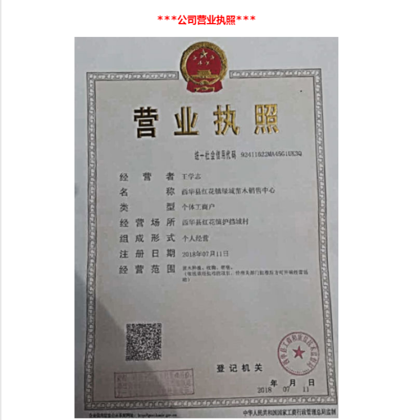 【推荐】杨树苗河南杨树苗杨树苗批发基地直接批发