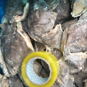 格陵兰鲽鱼头