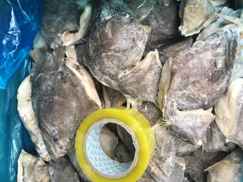 格陵兰鲽鱼头