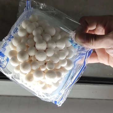 白玉菇
