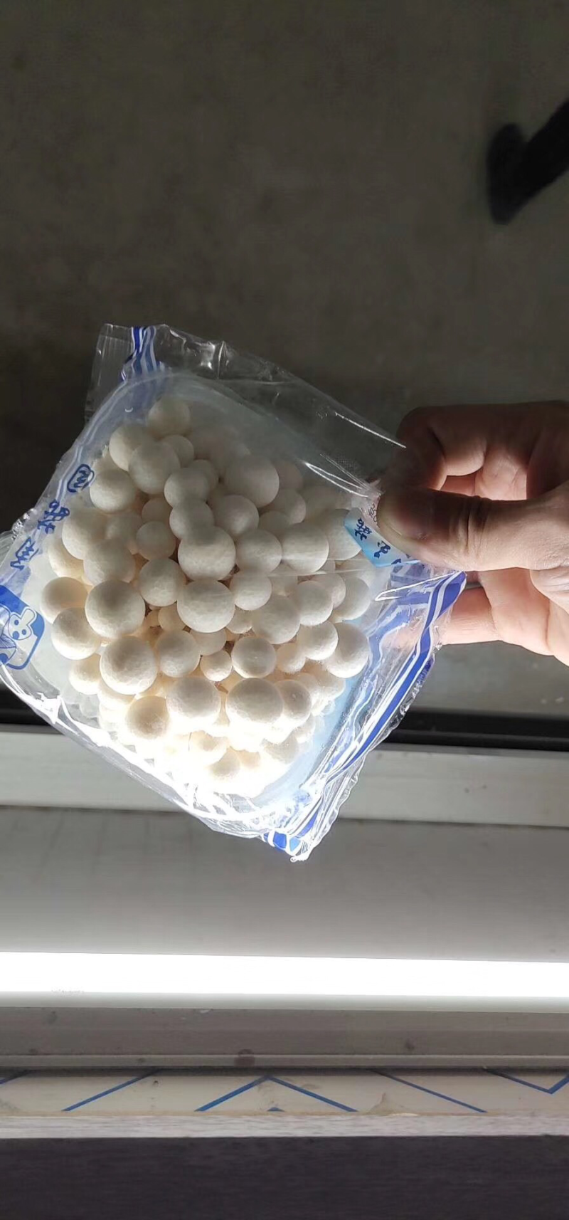 白玉菇