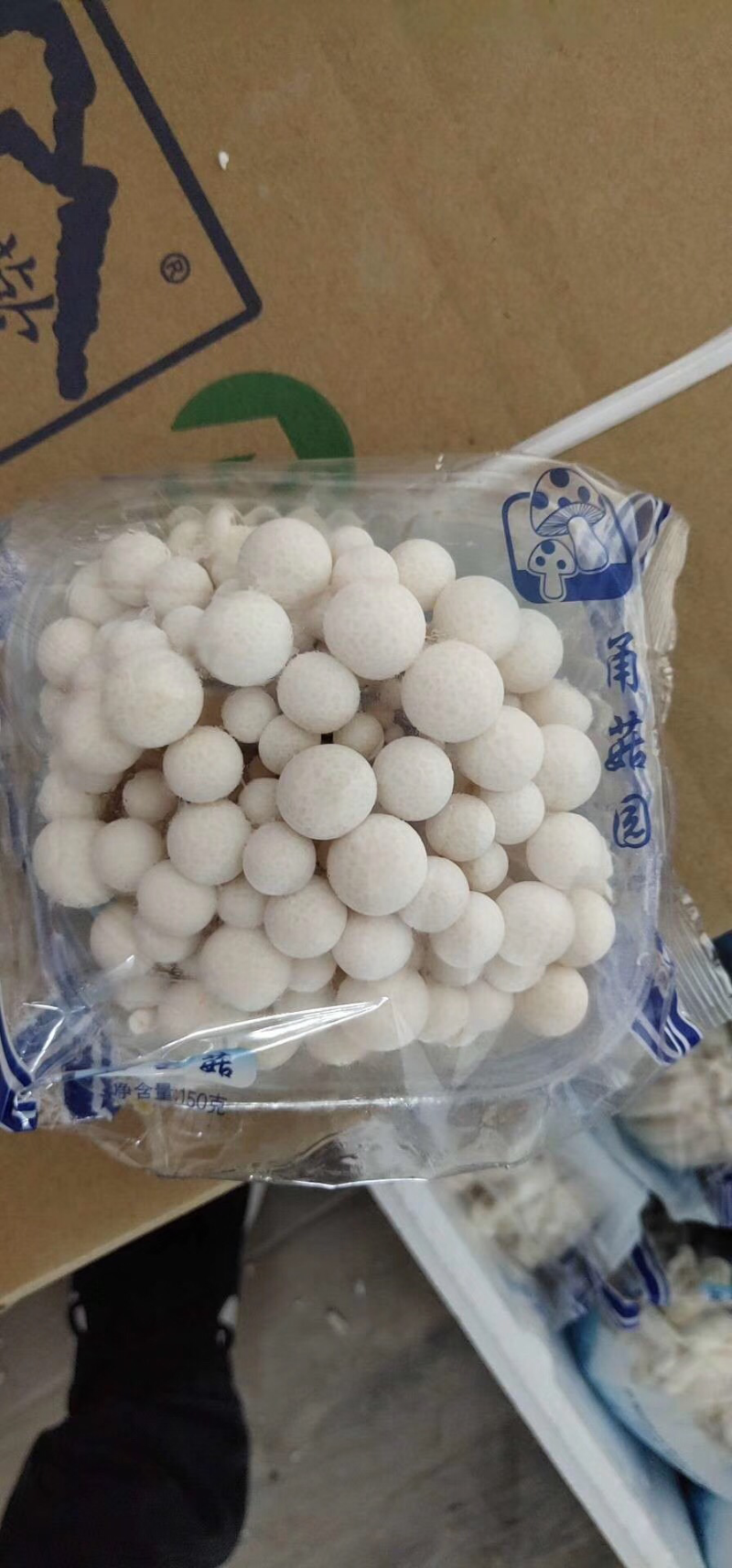 白玉菇