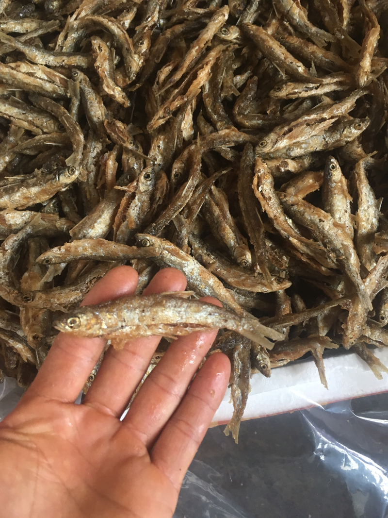 油炸蓝刀鱼