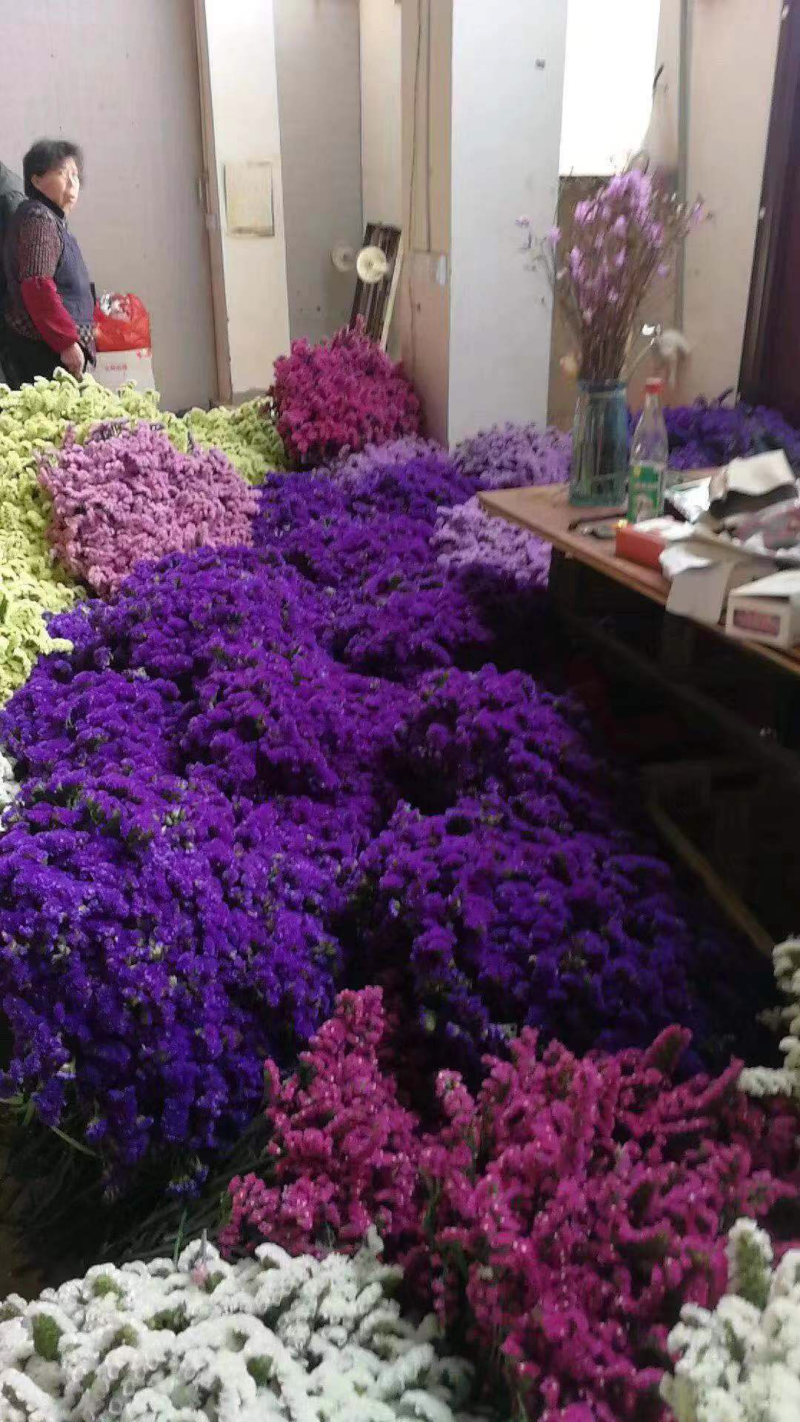 云南十八怪鲜花💐论斤卖勿忘我满天星情人草