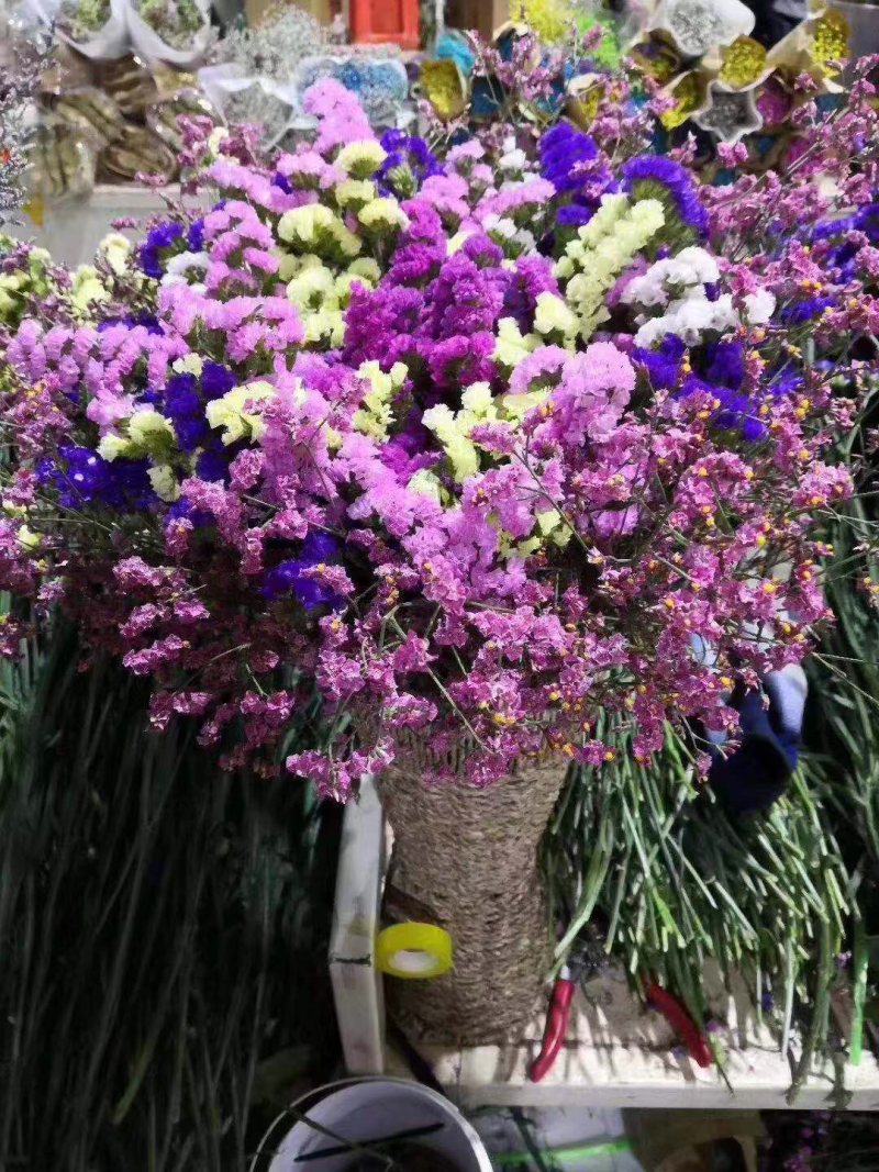 云南十八怪鲜花💐论斤卖勿忘我满天星情人草