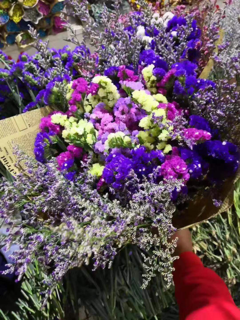 云南十八怪鲜花💐论斤卖勿忘我满天星情人草