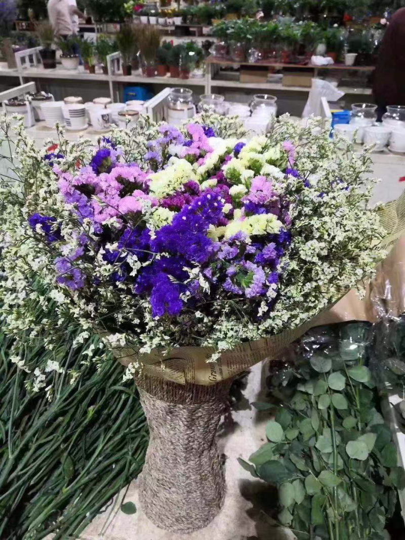 云南十八怪鲜花💐论斤卖勿忘我满天星情人草