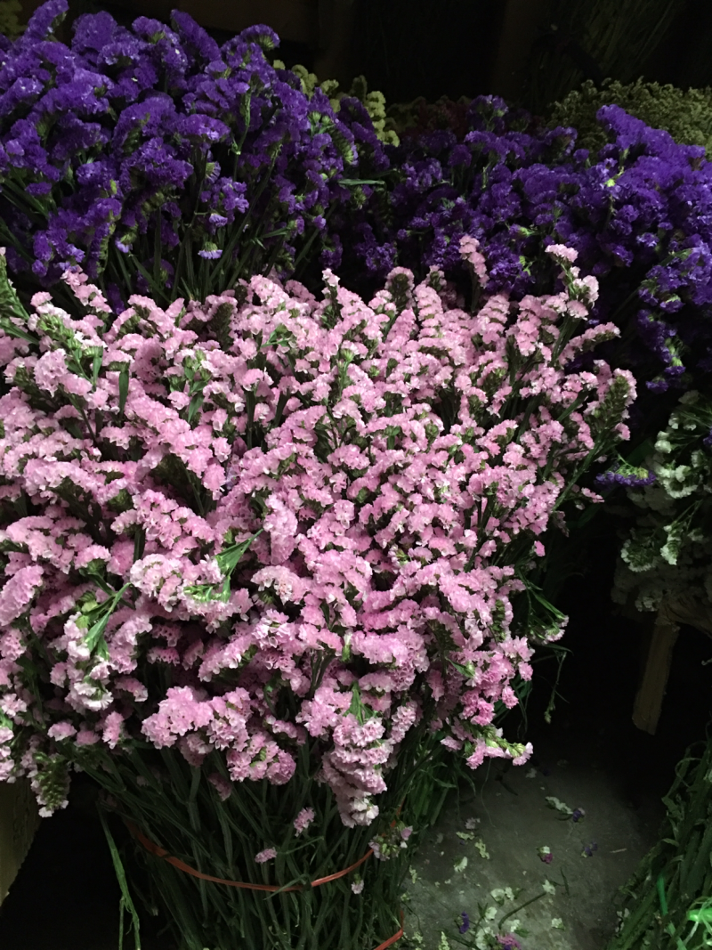 云南十八怪鲜花💐论斤卖勿忘我满天星情人草