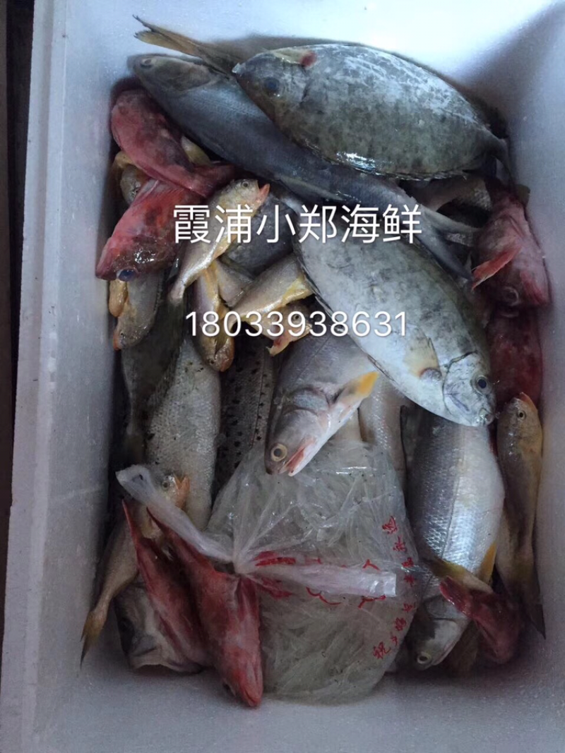 生鲜礼盒组合套装