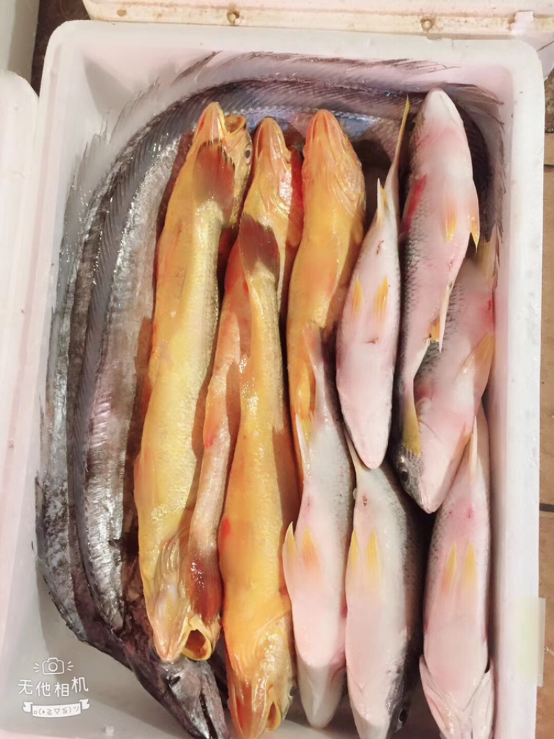 生鲜礼盒组合套装