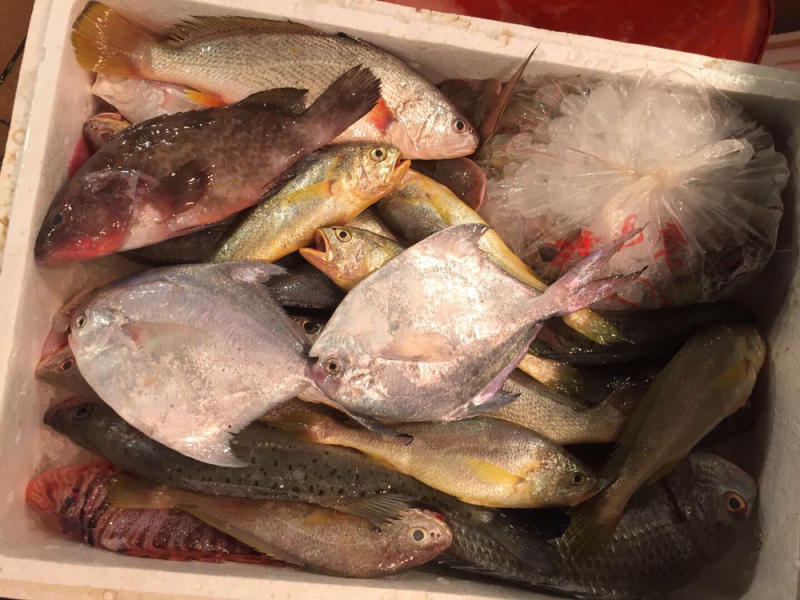 生鲜礼盒组合套装